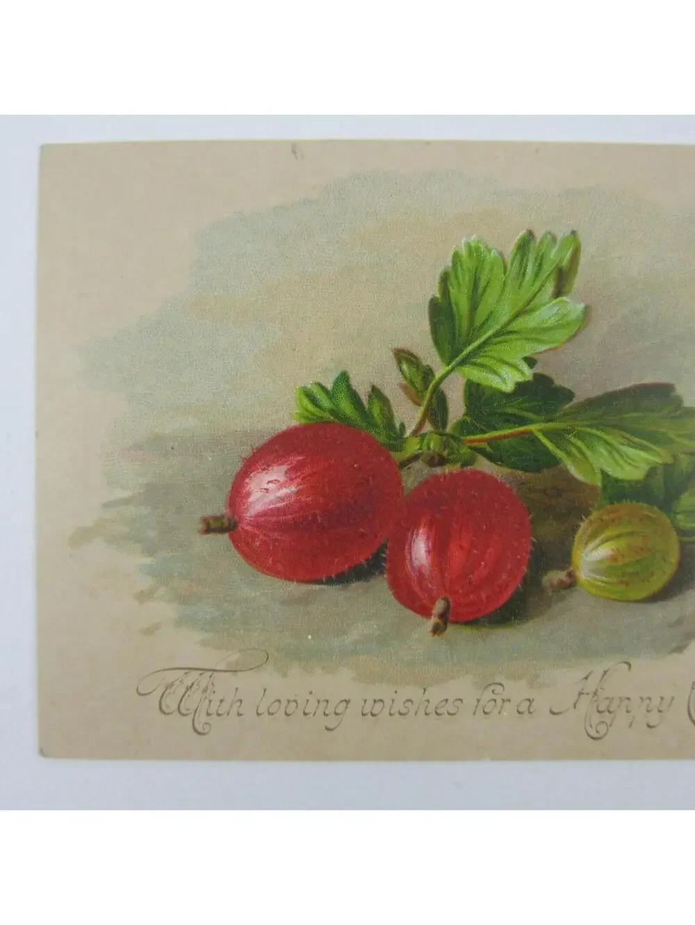 Victorian Christmas Card Red & Green Gooseberry Fruit Bunch Leaves Antique RARE